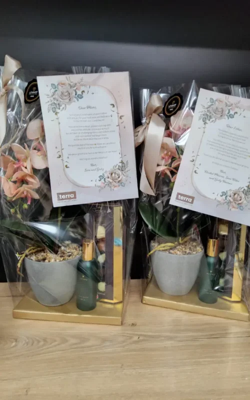 משלוחי מנות